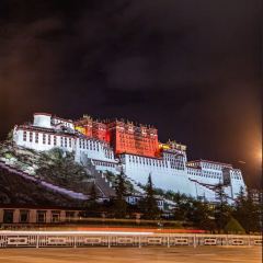 钟阿姨手工酸奶 User Photo