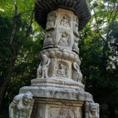 Qisu Court User Photo