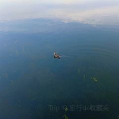 Baiyangdianyufudunza Fish User Photo