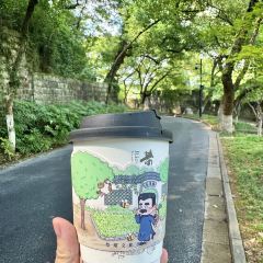 绘璟轩·浅巷仄澈(仓桥直街店) User Photo