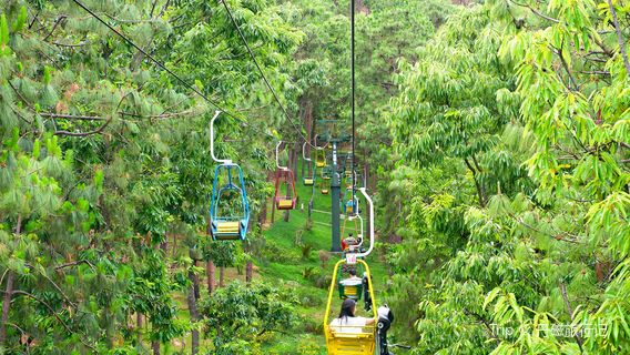 Lushan Forest Park - Lushan Slide Cableway