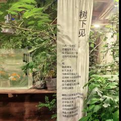 半两·咖啡书店·浮生是杯酒 여행 사진