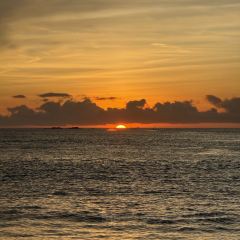 石井元宵店 User Photo