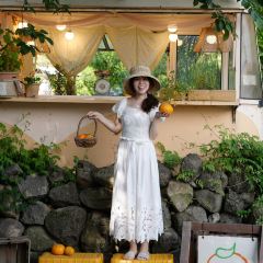 Cafe Layered Jeju Branch User Photo