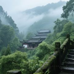 棣爸油炸 User Photo