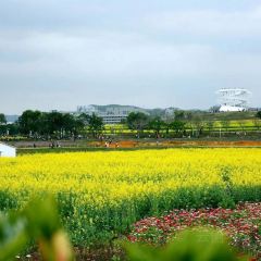 光明刘冰乳鸽店(光明法政北路店) User Photo