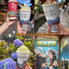 滇西公主·云南私房菜•雪山观景餐厅 User Photo