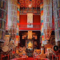 德顺源(桥华店) User Photo