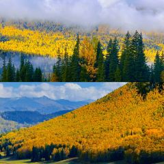 每天春羊羔烤肉店 User Photo