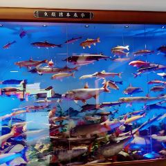 福成厚江鱼壹号(松北店) User Photo
