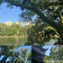 老广螺蛳酒.生腌熟醉.台州小鲜(椒江东商务区店) User Photo