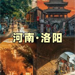 FEI LUO ZHUANG User Photo