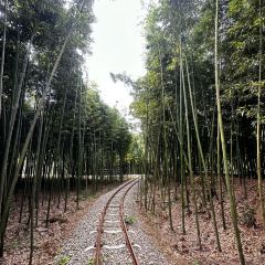 全福农庄 User Photo