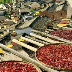 ZHU XIANG LOU User Photo