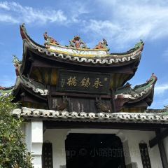 SHANGXILEICHA User Photo