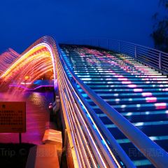 太湖船說•魚家菜（漁人碼頭店）張用戶圖片