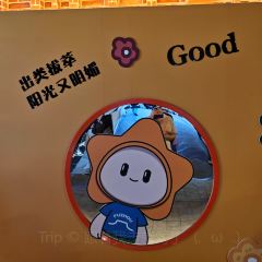 Gu Zheng Yan ( San Fang Qi Xiang Dian ) User Photo