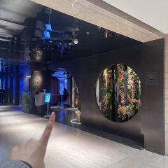 黛外滩(外滩店) User Photo