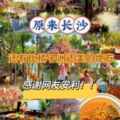 芙蓉裡•小漁村 （金星路店）張用戶圖片