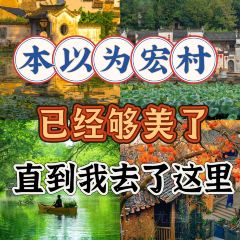 Cheng kan mao dou fu User Photo