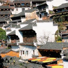 葉囍旺砂鍋（金龍崗總店）張用戶圖片