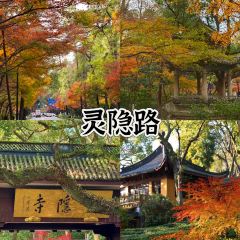 外婆的味道私房餐厅 User Photo