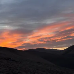 李广记杏皮茶 User Photo