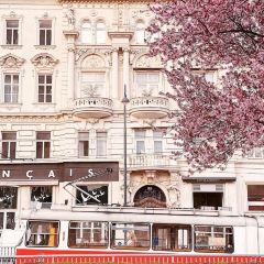 Café Sperl User Photo