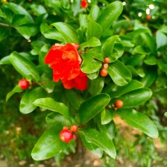 兰溪金熙温泉酒店·墅滋法餐厅 User Photo