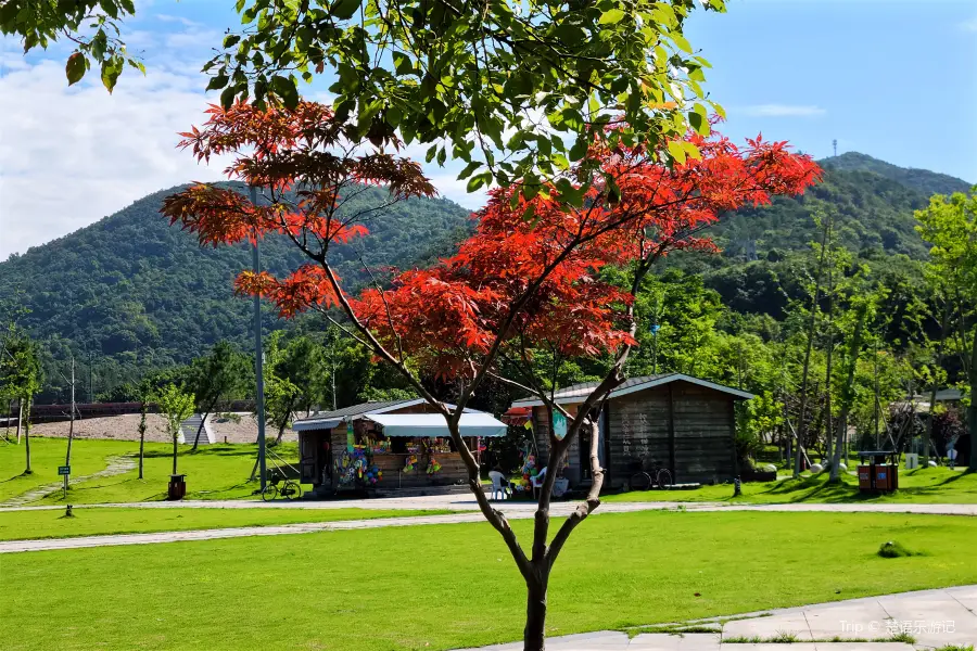 北山遊歩道