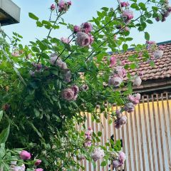和苑私房菜馆 User Photo