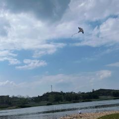 江从明巴适蒸笼 User Photo