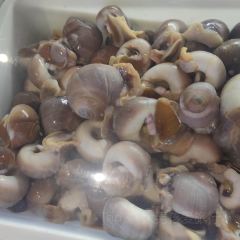 SEA STORY User Photo
