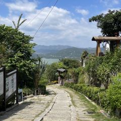半浮生茶院 User Photo