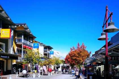 Patagonia Chocolates - Ice Creamery & Chocolaterie