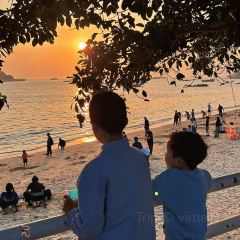 海边有棵树 여행 사진
