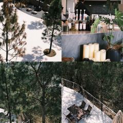 青芷森林·咖啡店 User Photo