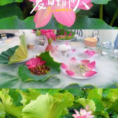 半湖云·湖景餐厅(普者黑景区店) User Photo