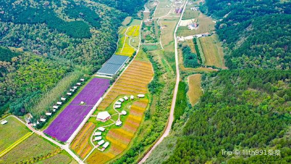 Heshui Meridian Flower Valley