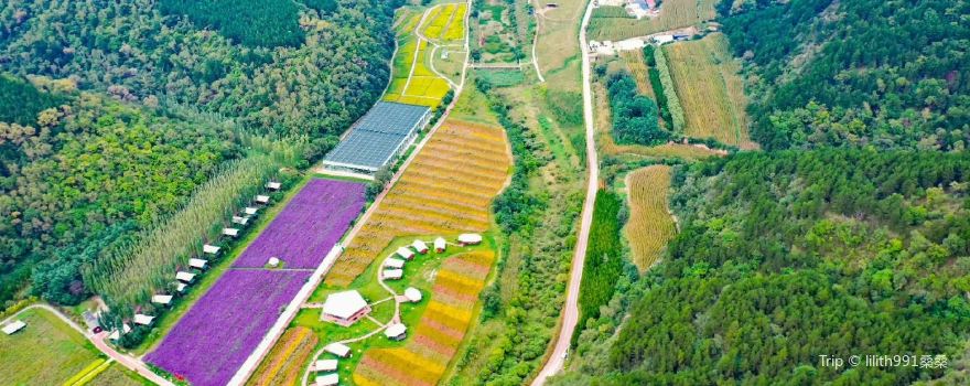 Heshui Meridian Flower Valley
