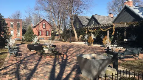 Pistacia Vera in Columbus