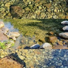 景熙豐莊園張用戶圖片