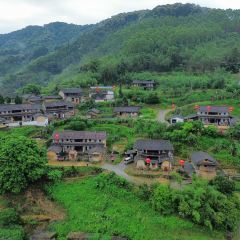 南坑咖啡观赏园 User Photo