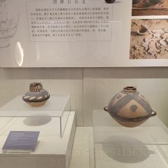 苏苏靖远羊羔肉总店 여행 사진