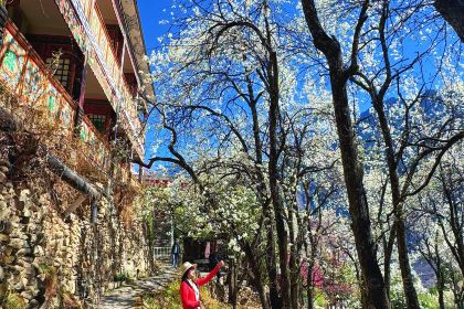 丹巴光与林酒店·及所悬崖餐厅