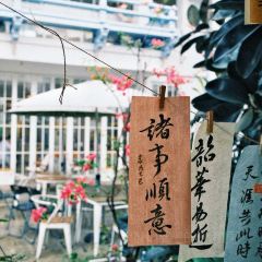 Qilinshuju User Photo