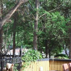 Hide&Seek User Photo