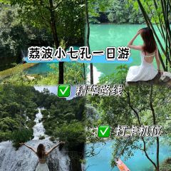 正宗苗家酸湯魚張用戶圖片