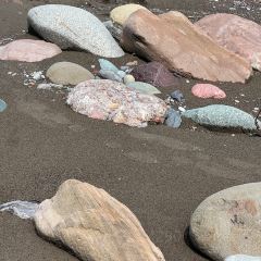 西岭驿游人服务中心西岭小厨 User Photo