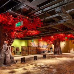 3Q台灣美食張用戶圖片